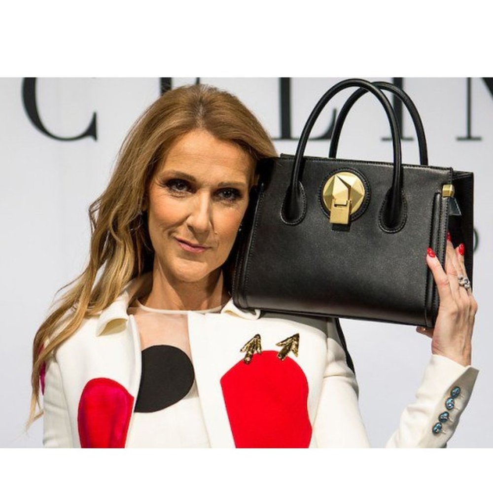Celine Dion Octave Leather Satchel Bag
